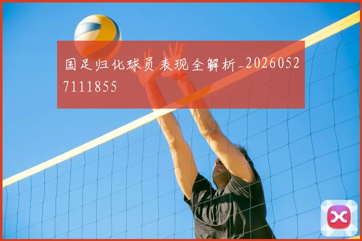 国足归化球员表现全解析_20260527111855